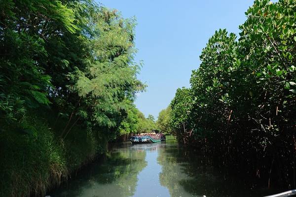 【台南】四草綠色隧道