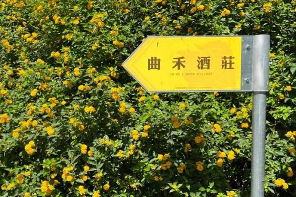 【農遊超市】台東｜曲禾酒莊｜梅醋DIY