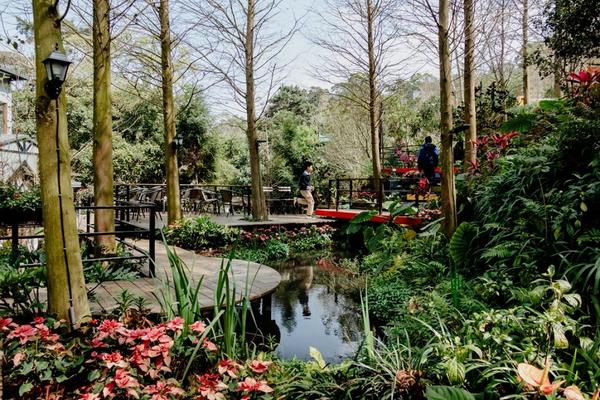【苗栗】卓也小屋渡假村｜入園門票・超值套票