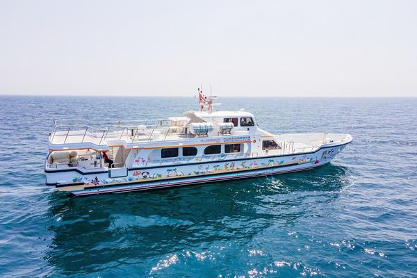 【馬祖】大坵半日遊 | 船票 | 梅花鹿互動體驗（南竿北竿出發）