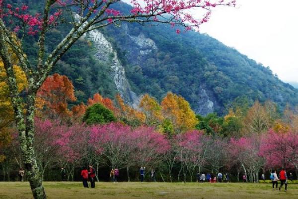 【南投】奧萬大國家森林遊樂區