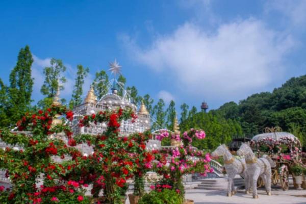 【韓國】愛寶樂園 ｜電子門票