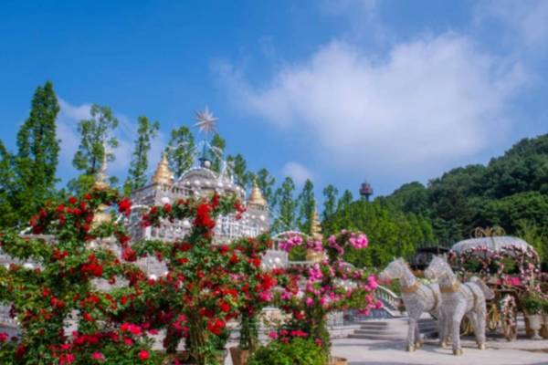 【韓國】愛寶樂園 ｜電子門票