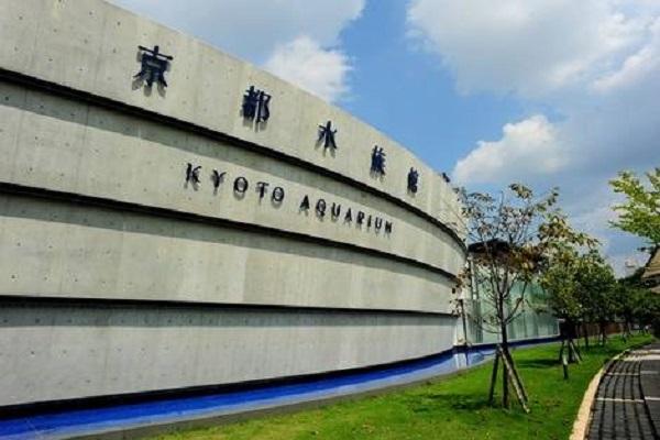 【日本】京都｜京都水族館｜門票 | 電子票