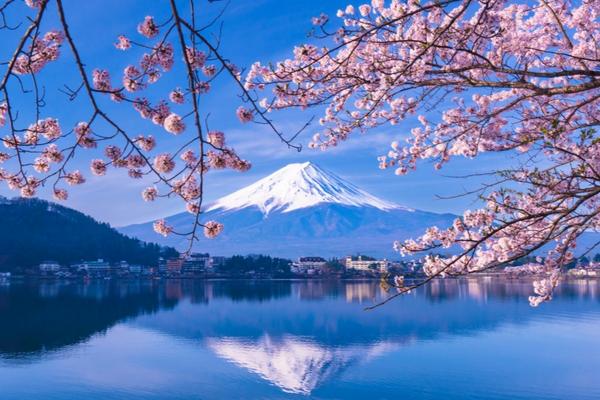 【日本】富士山一日遊 ｜富士山五合目・河口湖・富士本町通・忍野八海｜上野／新宿出發