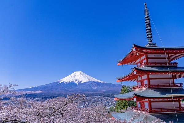 【日本】1人成行●河口湖絕景一日遊｜新倉山淺間公園、河口湖Craft Park、大石公園 → 西湖療癒之鄉 根場｜新宿品川出發