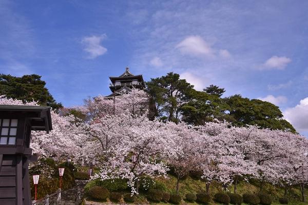 【日本】福井｜丸岡城｜門票 | 電子票