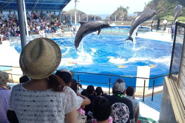 【日本】北陸福井｜越前松島水族館