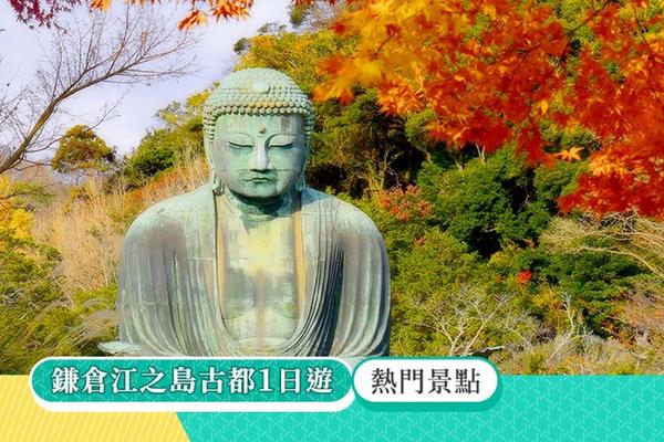 【日本】鎌倉、江之島一日遊｜鶴岡八幡宮、長谷寺、高德院、江之島｜池袋／新宿出發
