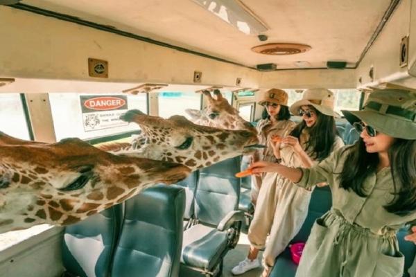 【泰國】北碧長頸鹿野生動物園一日遊｜曼谷出發