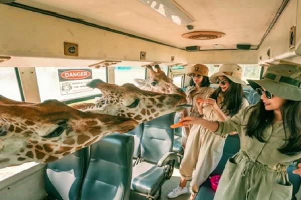 【泰國】北碧長頸鹿野生動物園一日遊｜曼谷出發