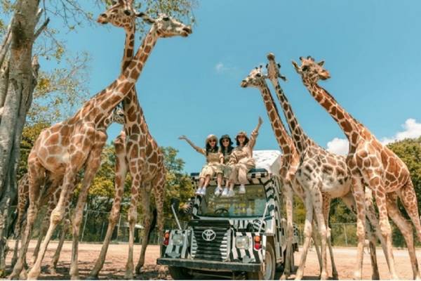 【泰國】北碧野生動物園、網紅咖啡廳｜私人包車、導遊加購