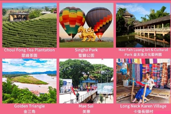 【泰國】清萊包車 (1日、2日、3日) | 清邁出發 (含加選導遊服務)