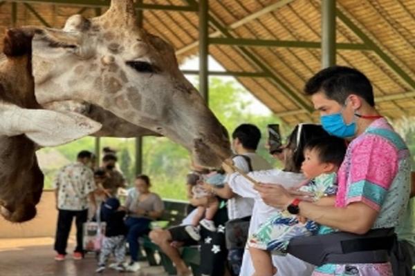 【泰國】曼谷賽佛瑞野生動物園｜門票、併團、私人包車、一日遊