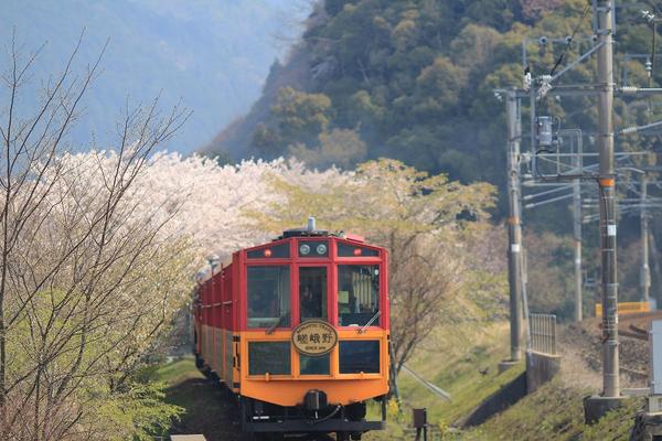 【日本】嵐山小火車&世界遣產之旅