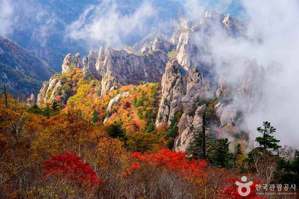 【韓國】江原道｜江陵秋季&韓屋體驗、雪嶽山、烏竹軒韓服、中央市場美食2天1夜｜首爾出發