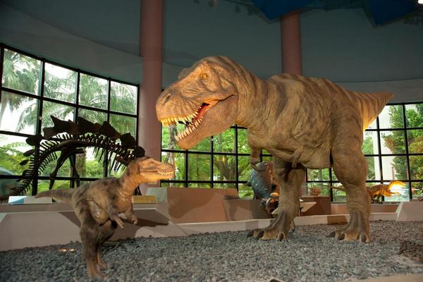 【台中】科博館展示場門票+化石先生NT$50元購物金 (套票)