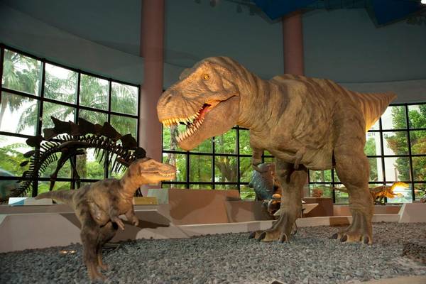 【台中】科博館門票、化石先生NT$50元購物金｜套票