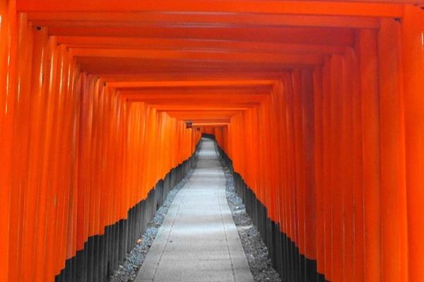 【日本】京都、奈良一日遊｜嵐山・伏見稻荷大社・奈良公園｜大阪京都出發