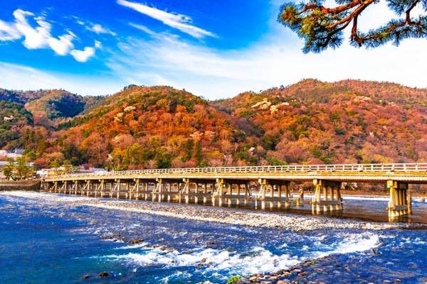 【日本】１人成行☄嵐山、奈良一日遊｜嵐山、奈良公園、伏見稻荷大社｜大阪／京都出發