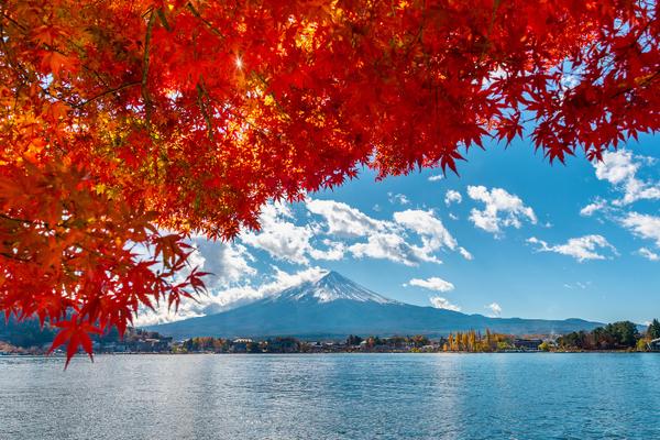【日本】１人成行☄富士山一日遊｜富士山五合目、河口湖、忍野八海、御殿場OUTLETS｜上野／新宿出發
