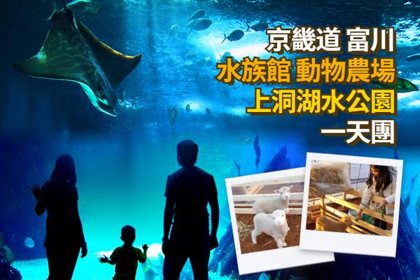 【韓國】京畿道富川水族館.動物園一日遊  (含午 餐)| 首爾出發