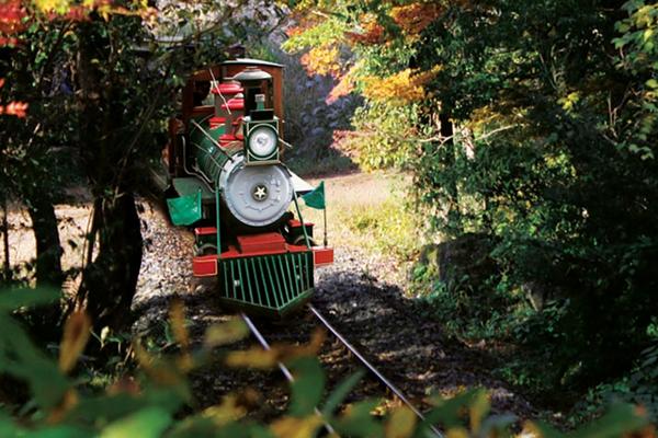 【韓國】濟州精選一日遊(含午餐) | 森林小火車.乘馬體驗.ATV四輪車體驗.東門市場 | 4人成行