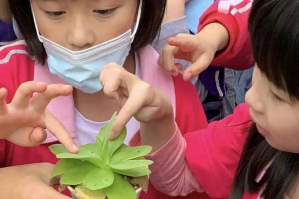 【農遊超市】宜蘭｜波的農場-綠光森活館｜食蟲雨林探索半日遊