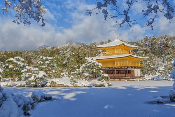 【日本】１人成行☄京都、奈良一日遊｜金閣寺、嵐山、伏見稻荷大社、奈良公園｜大阪／京都出發