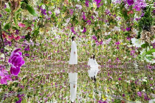 【日本】東京｜ TeamLab Planets TOKYO 豐洲新型態美術館｜門票