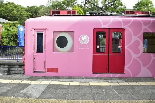 【日本】關西｜南海電鐵｜全線２日券 | 電子兌換券