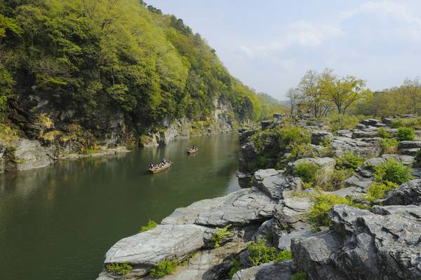 【日本】西武鐵路1日券＋秩父長瀞乘車券