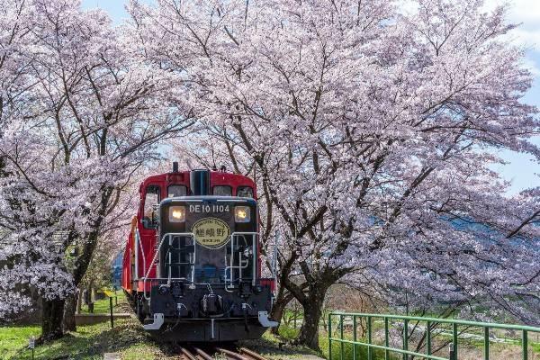 【日本】京都｜嵯峨野遊覽小火車｜單程票 | 電子票