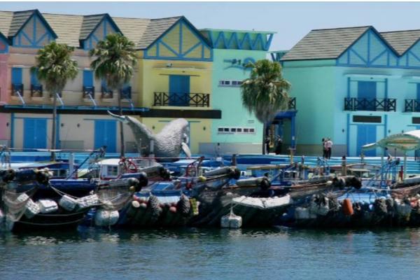 【農遊超市】花蓮 ｜多羅滿賞鯨｜經典友善賞鯨行程