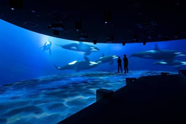 【日本】北海道｜札幌水族館AOAO｜門票