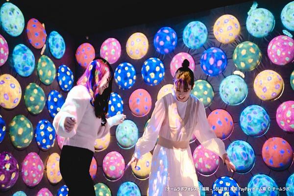 【日本】福岡｜teamLab Forest - SBI證券｜門票