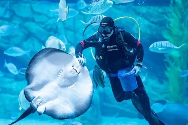 【越南】河內｜樂天世界水族館