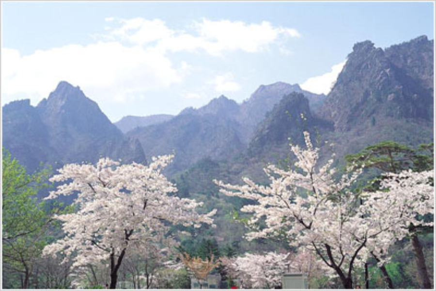 【升等明洞】迷戀雪嶽山~船橋莊、烏竹軒、南怡島、汗蒸幕5日(不進保肝)
