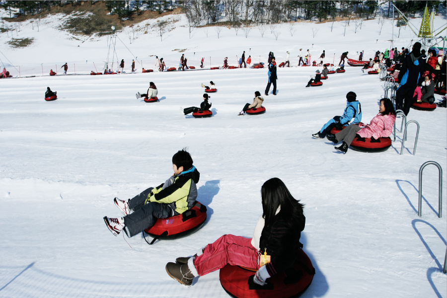 【升等陽智滑雪場&明洞LOTTE CITY】韓國滑雪趣~晨靜樹木園. 青春博物館.THE GREEM咖啡館.光明洞窟.時尚購物五日【不進人蔘.保肝店】