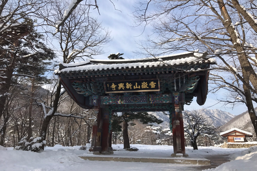 【升等2晚市區】銀色雪嶽 滑雪趣、南怡島、汗蒸幕、益善洞、廚師秀5日