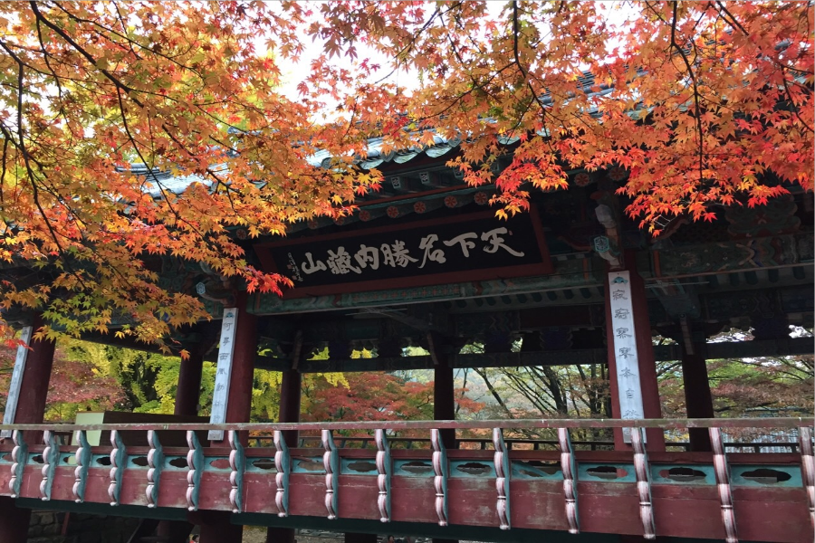 【升等2晚市區】✪楓の秋~韓國內藏山、大屯山、小希臘村、N首爾塔5日