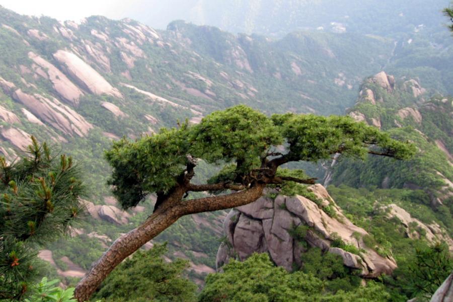 漫步黃山深度奇景.宏村雙遺產五日(黃山三晚+無購物+無自費)