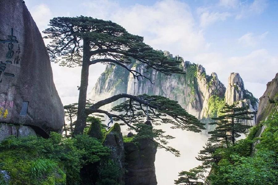 漫步黃山深度奇景.宏村雙遺產五日(黃山三晚+無購物+無自費)