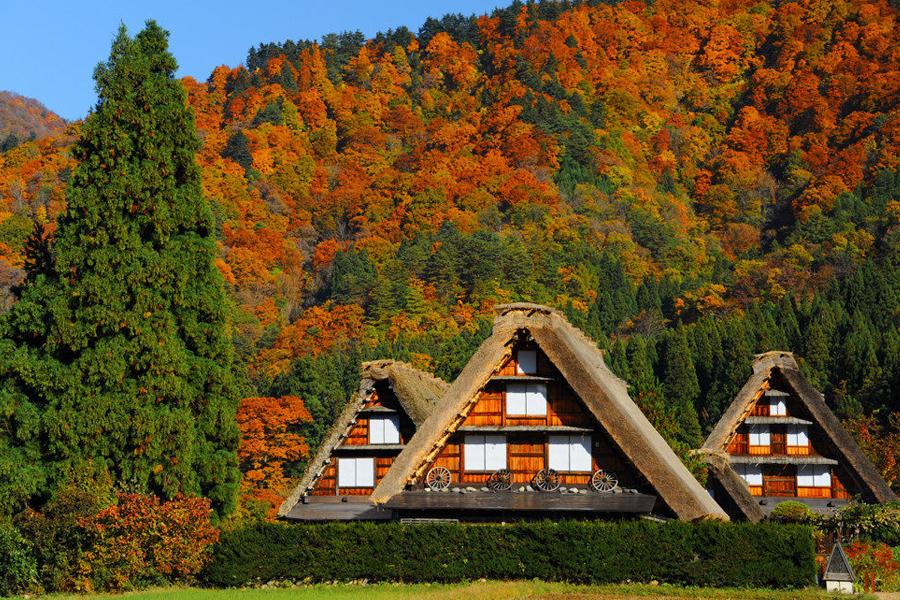 北陸立山紅葉、合掌屋兼六園楓情、名古屋魅力遊5日