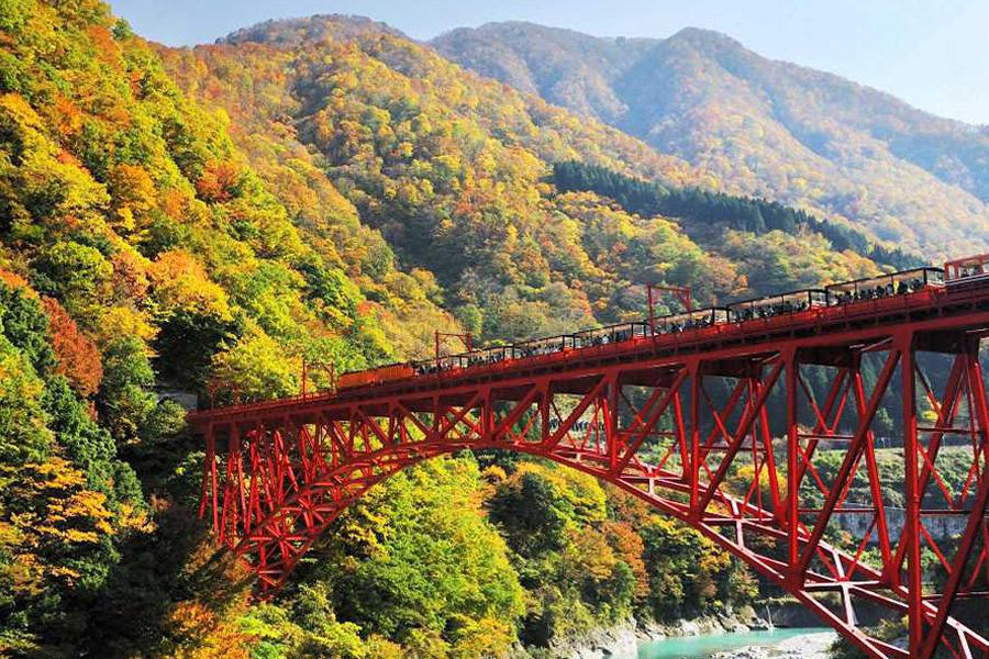 小松層楓、立山峽谷鐵道、白川鄉林道、高山古街5日