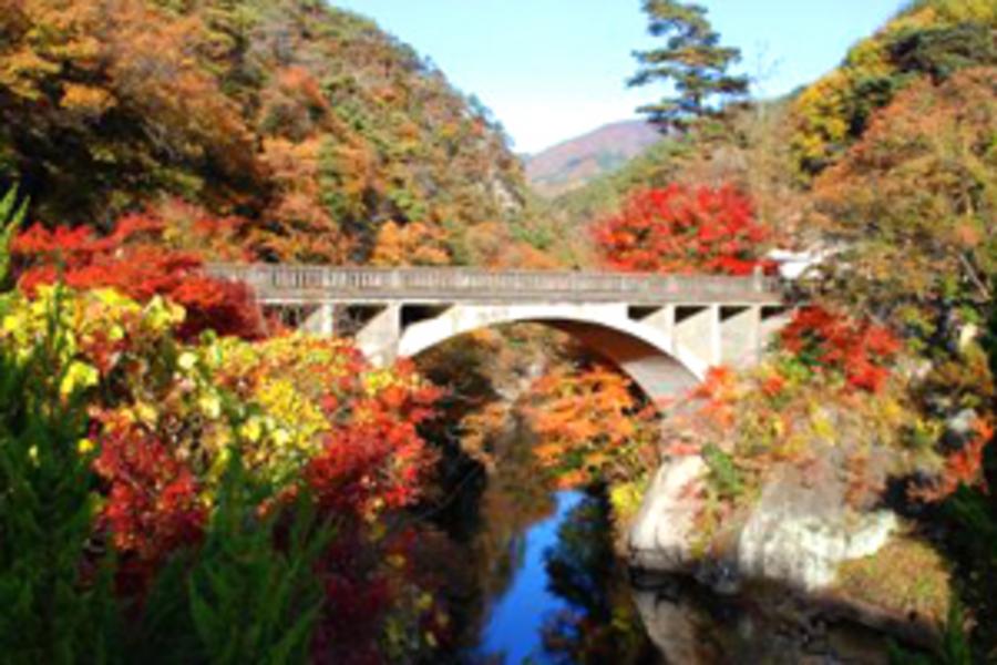楓之細道★昇仙峽高尾山.鐵道楓采.愜意紅葉賞.東京5日