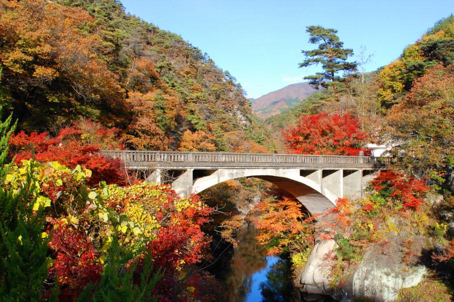 【楓之細道】昇仙峽、高尾山、箱根、河口湖、清里高原、關東紅葉賞5日