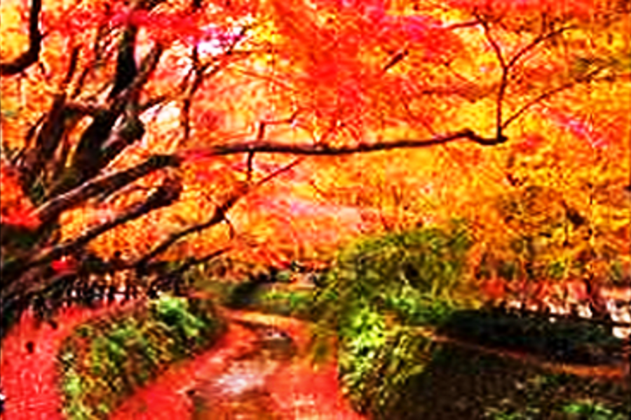 【采楓物語】★星光秋楓★璀璨紅葉‧深度嵐山‧米其林禮讚5日