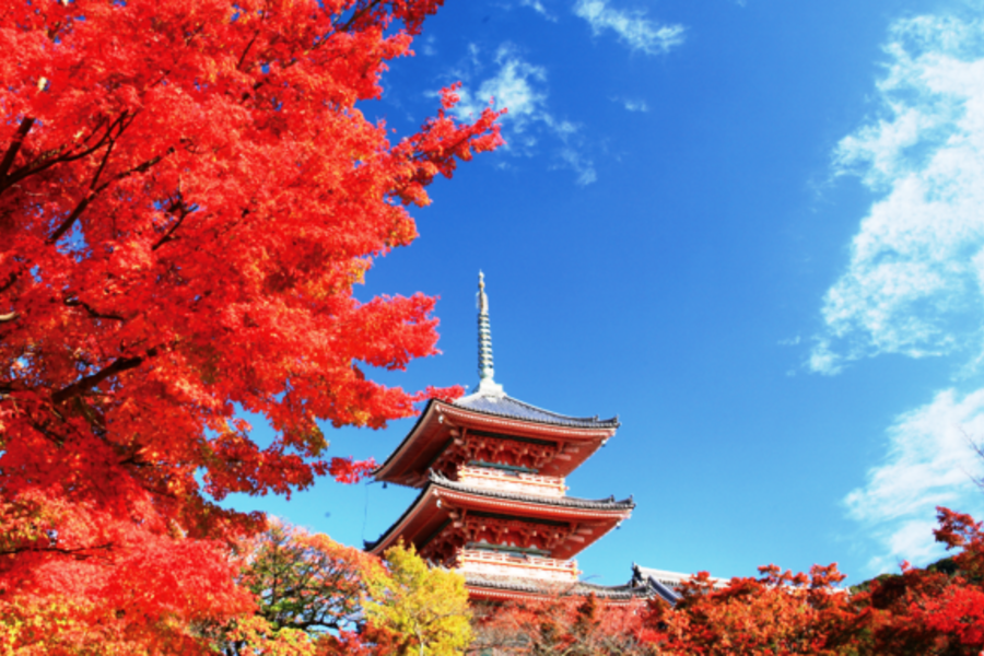 【紅葉限定團】秋の小確幸●幸福關西~京阪神楓物語‧遨遊環球5日★【哈利波特優先入園券!】★