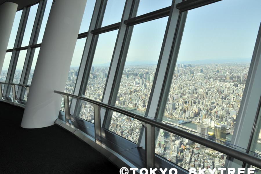 登上晴空塔★天空之城.歡樂卡通.東京迪士尼5日